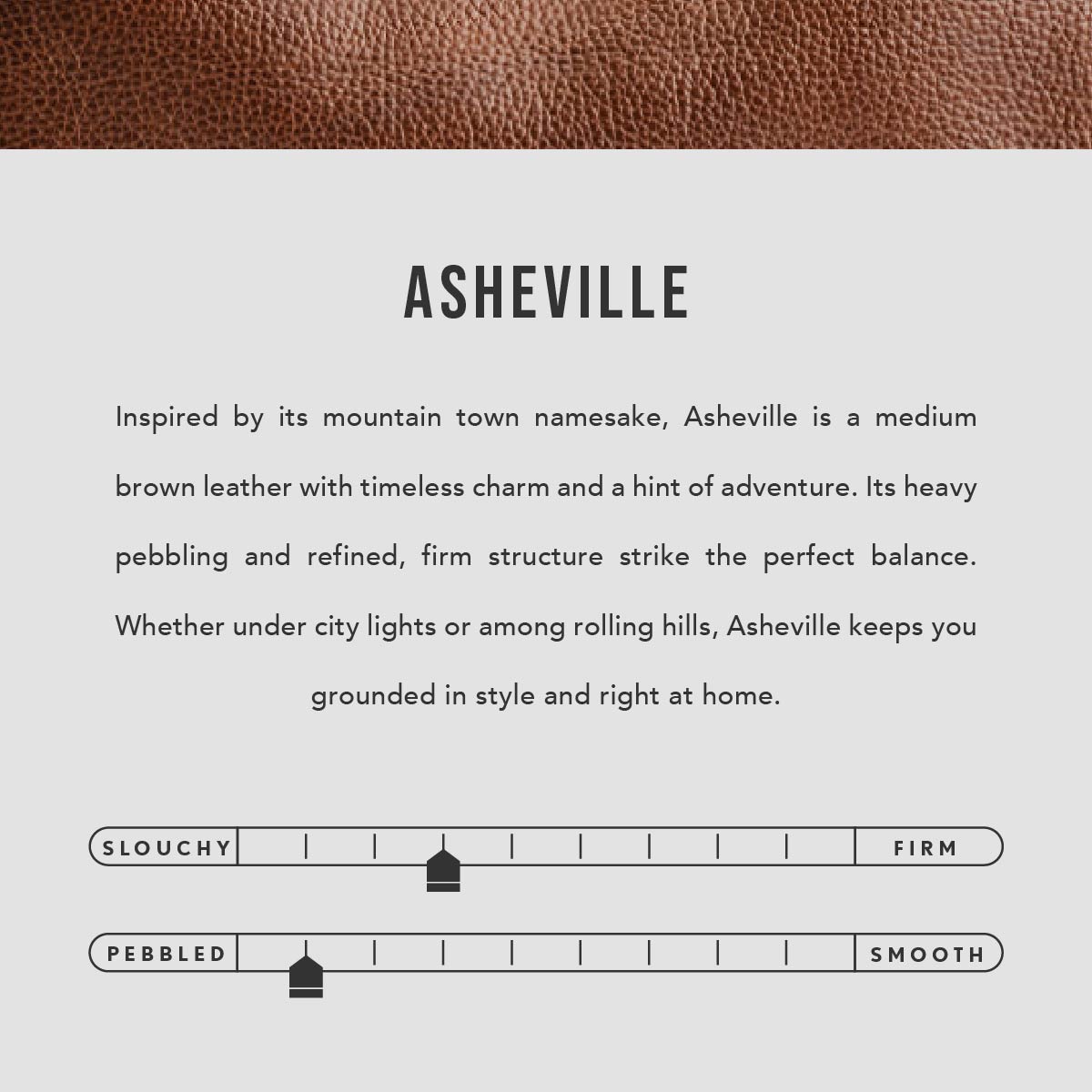 Asheville | infographic