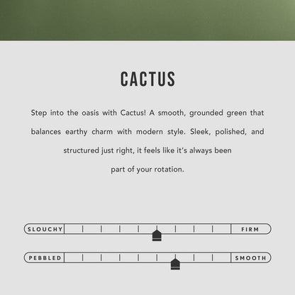 Cactus | infographic