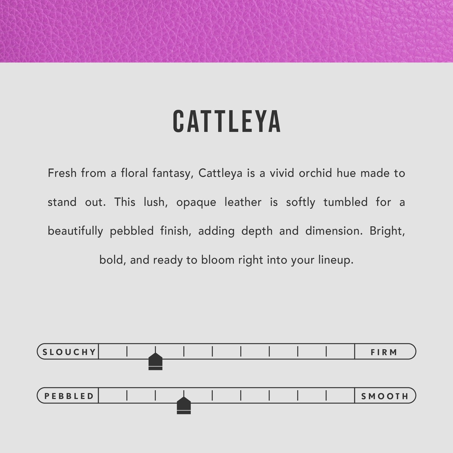 Cattleya | infographic