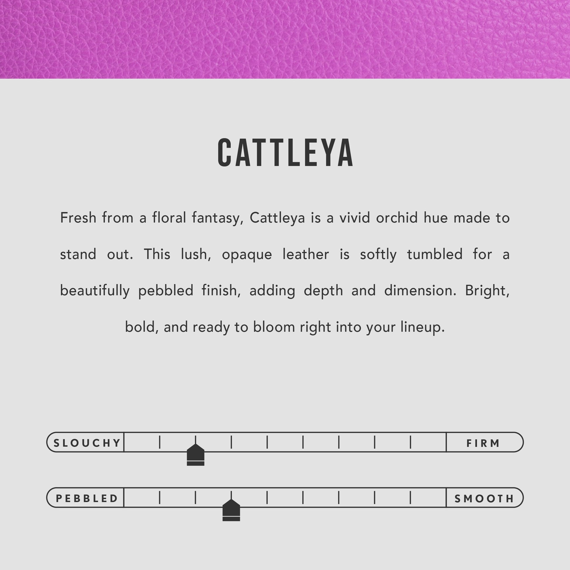 Cattleya | infographic
