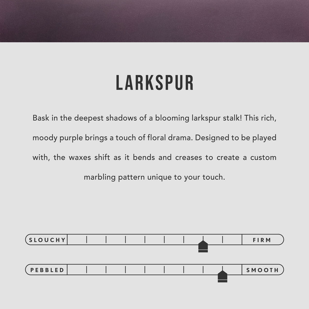 Larkspur | infographic