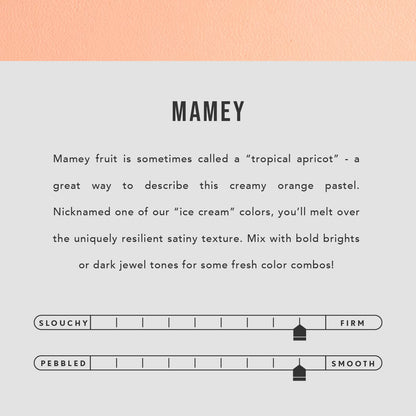 Mamey | infographic