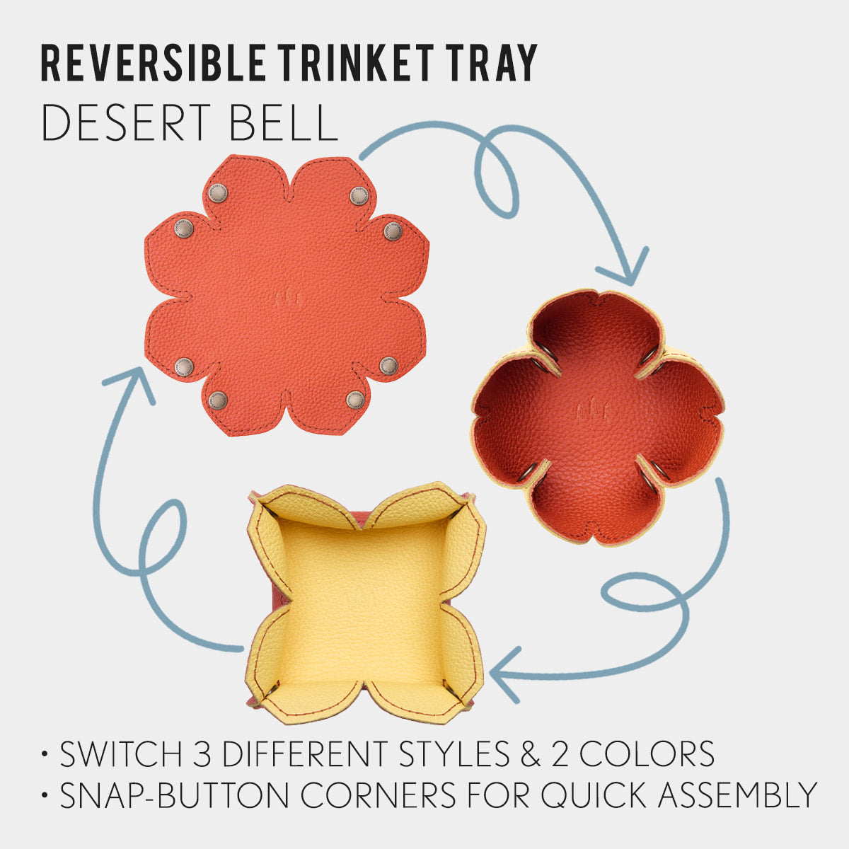 All Variants | infographic